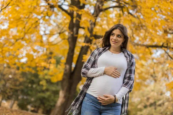 Giovane donna incinta nel parco autunnale — Foto Stock