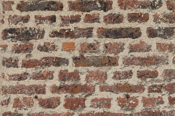 Brick wall — Stock Photo, Image