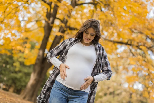 Femeie însărcinată în parcul de toamnă — Fotografie, imagine de stoc