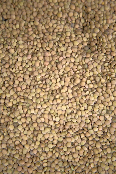 Lentil at market in Morocco — Stock Photo, Image