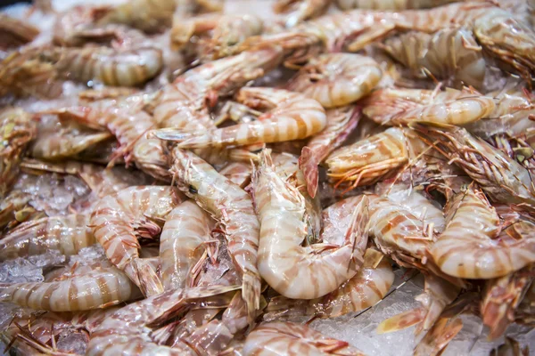 Crevettes — Photo