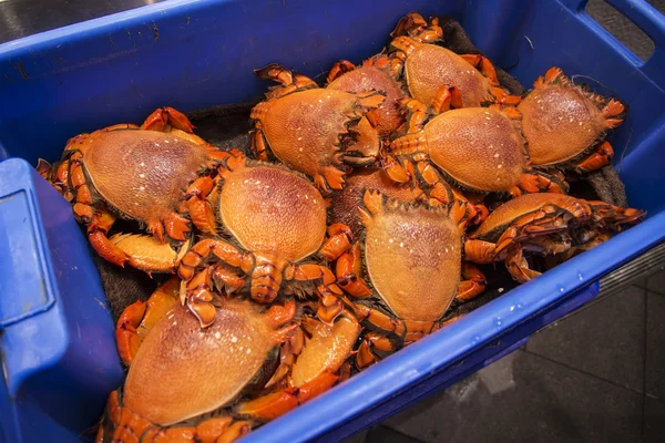 Cangrejos en el mercado —  Fotos de Stock