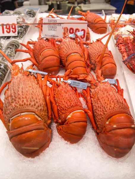 Kreeft op de vismarkt van Sydney. — Stockfoto