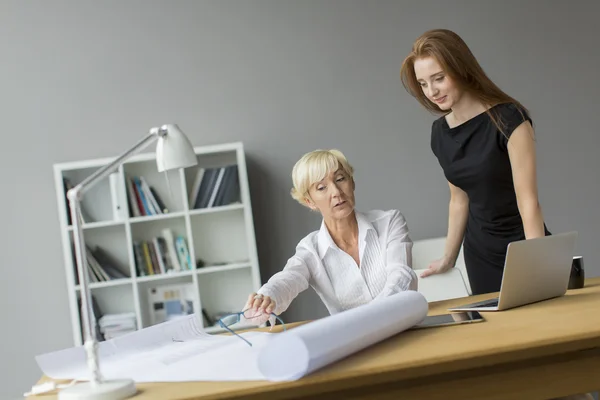 Vrouwen die werkzaam zijn in het kantoor — Stockfoto