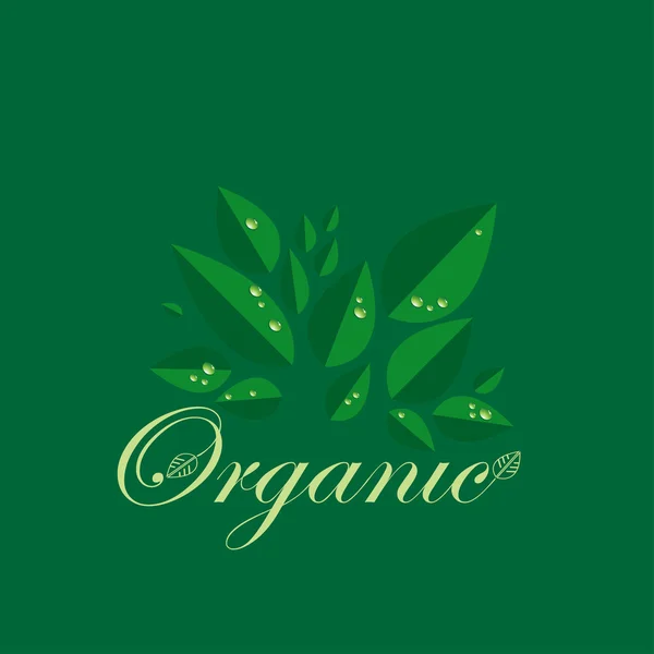 Orgánico — Vector de stock