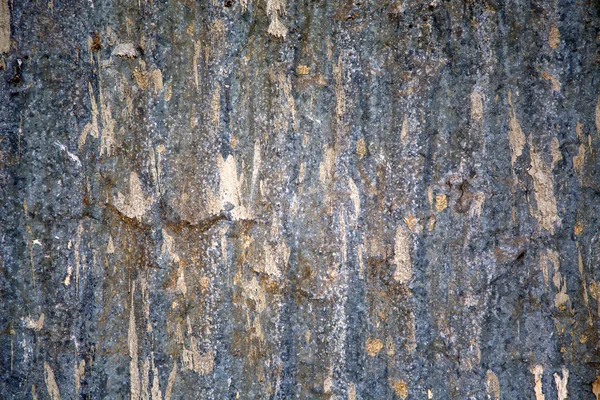 Textura de madeira — Fotografia de Stock