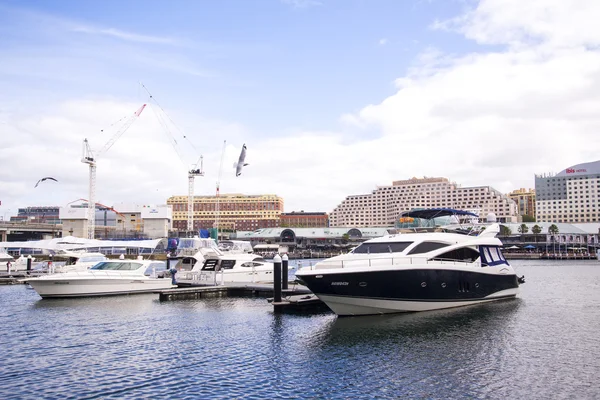 Darling Harbour en Sydney —  Fotos de Stock