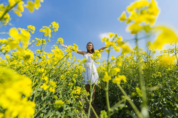 Jovem mulher no campo de primavera — Fotografia de Stock
