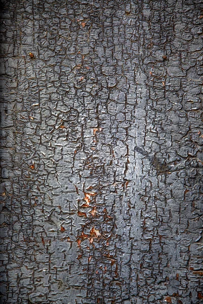 Holzstruktur — Stockfoto