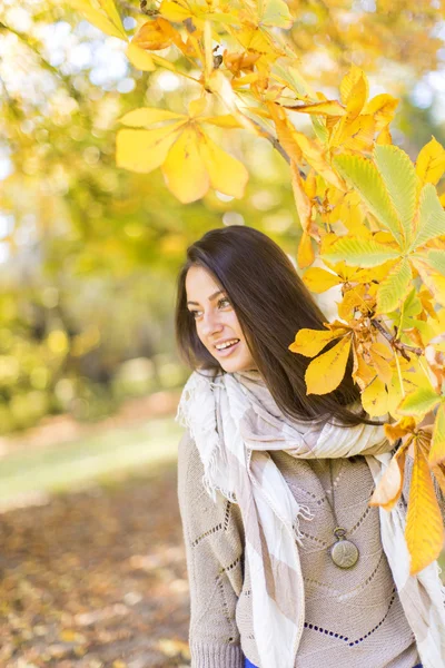 Junge Frau im Herbstwald — Stockfoto