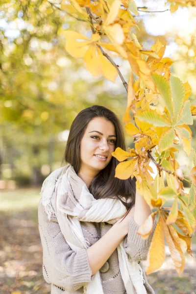 Mujer joven en bosque de otoño — Foto de Stock