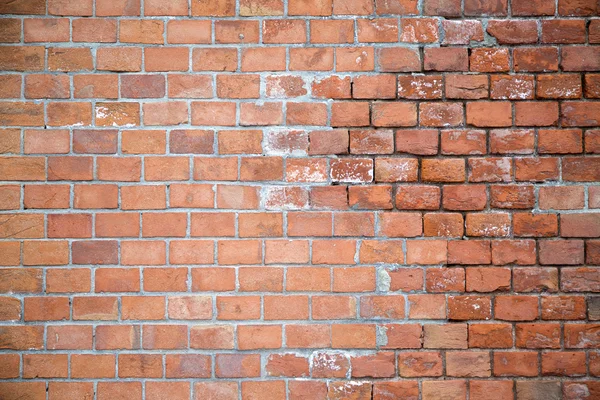 Parede de tijolo — Fotografia de Stock