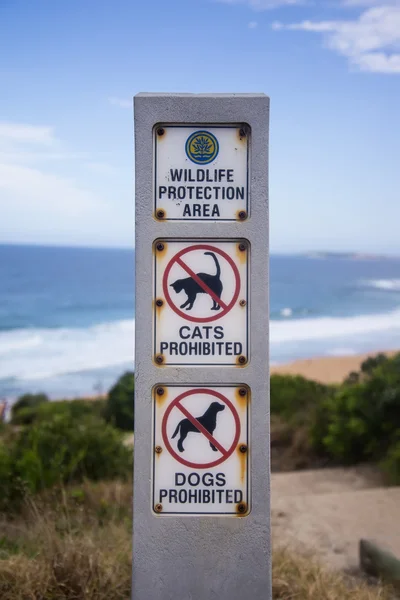 Australský beach — Stock fotografie