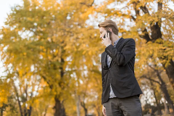 Giovane con cellulare nel parco autunnale — Foto Stock