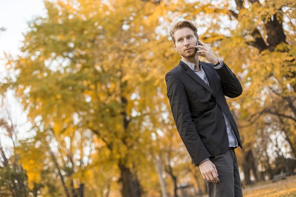 Junger Mann mit Handy im Herbstpark — Stockfoto