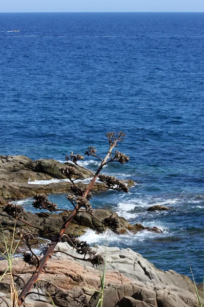 Costa brava İspanya — Stok fotoğraf