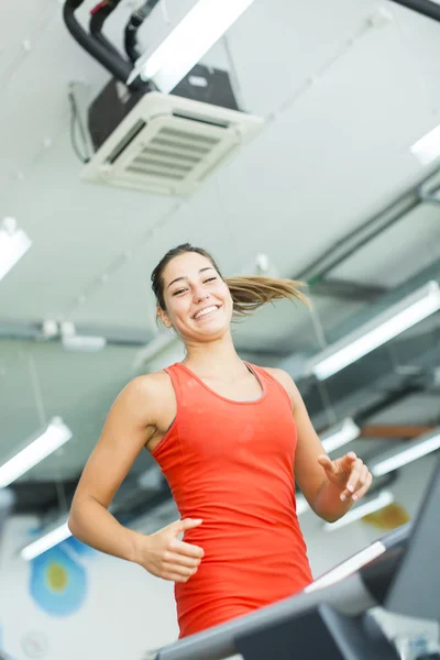 Spor salonunda çalışan genç bir kadın. — Stok fotoğraf