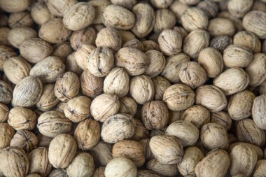 Peeled wallnuts on the market