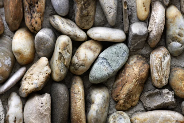 Deniz peeble taşlar — Stok fotoğraf