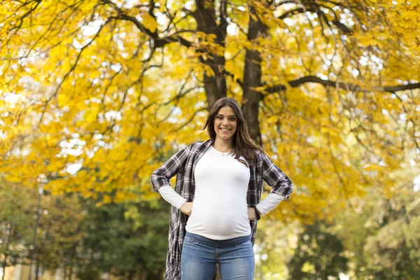 Femme enceinte dans le parc — Photo