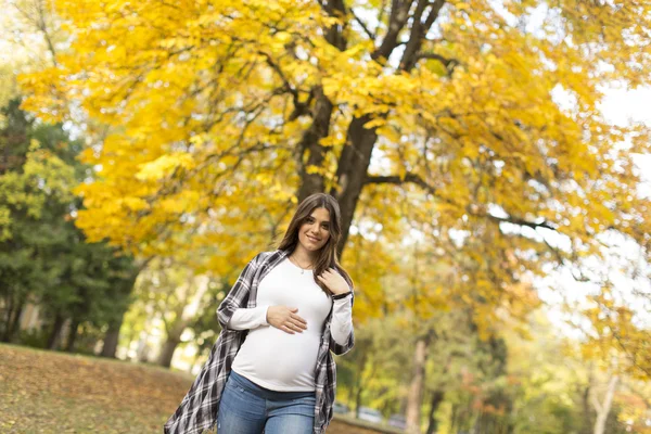 Mujer embarazada en el parque — Foto de Stock