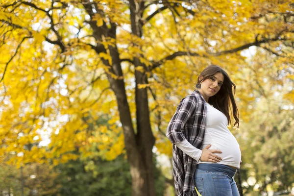 Беременная женщина в парке — стоковое фото