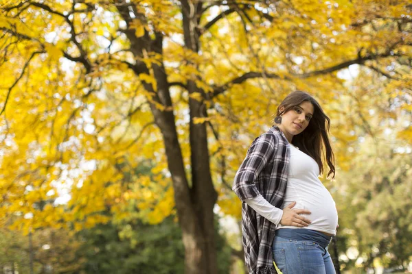 Femme enceinte dans le parc — Photo