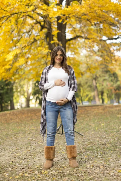 Pregnant woman in park — Zdjęcie stockowe