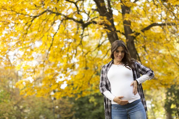 Mulher grávida no parque — Fotografia de Stock