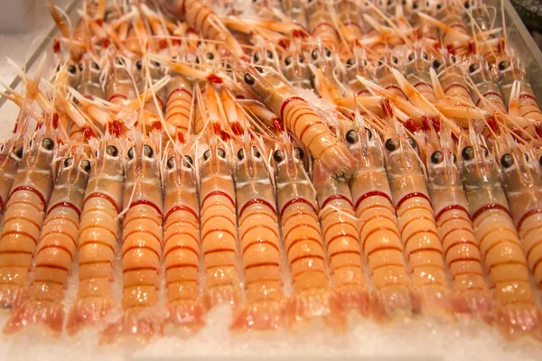 Scampi frescos en el mercado — Foto de Stock