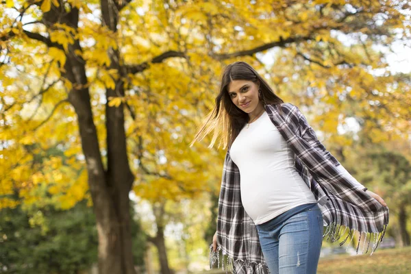 Femme enceinte dans le parc — Photo