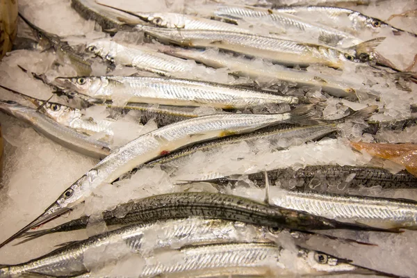 Mercado de peixe sydney — Fotografia de Stock