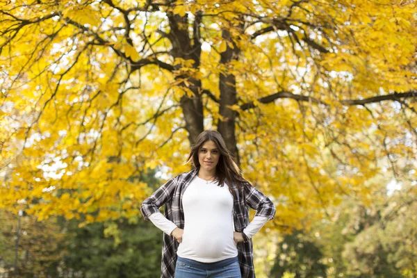 Zwangere vrouw in het park — Stockfoto