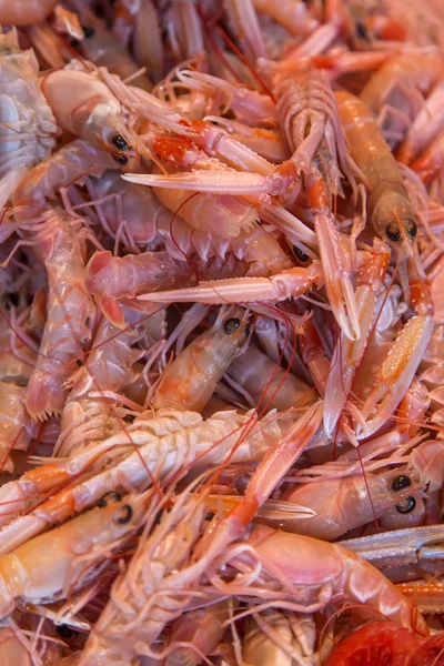 Scampi sul mercato del pesce — Foto Stock
