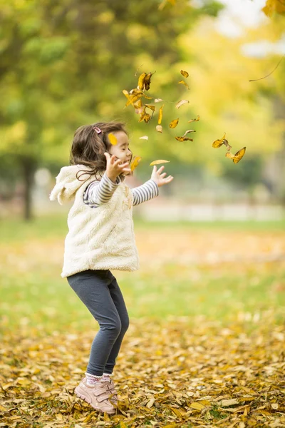 Klein meisje in de herfst park — Stockfoto