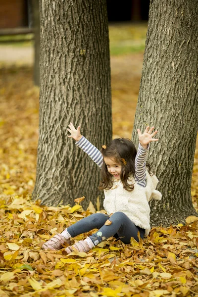 Sonbahar parkta küçük kız — Stok fotoğraf
