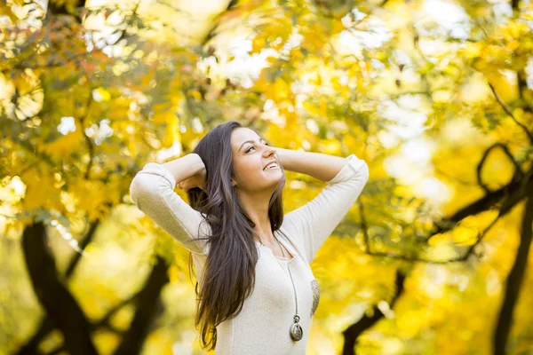 Ung kvinde i efteråret skov - Stock-foto