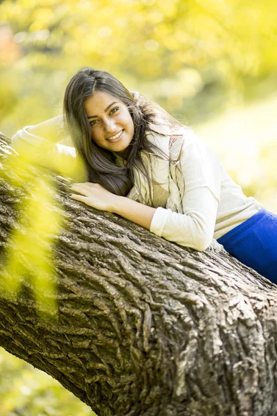 Junge Frau im Herbstwald — Stockfoto