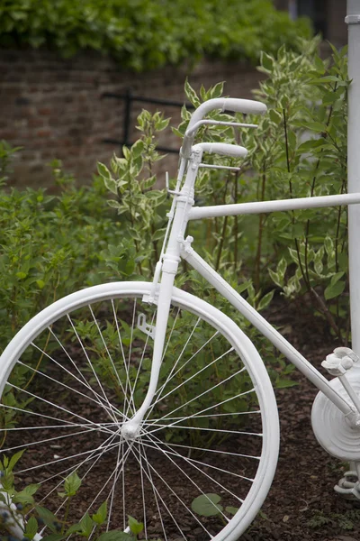 Retro bicycle — Stock Photo, Image