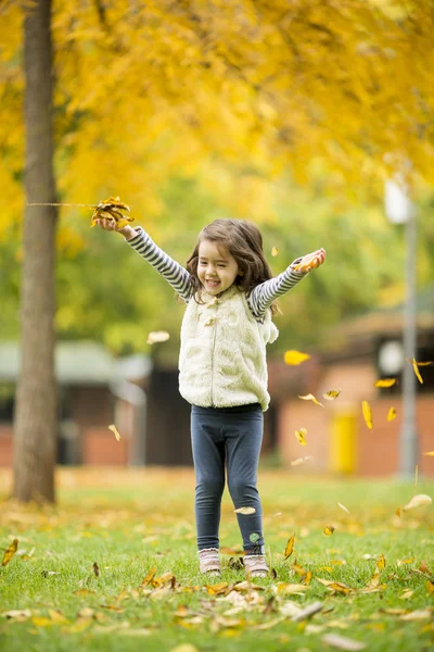 Bambina al parco autunnale — Foto Stock