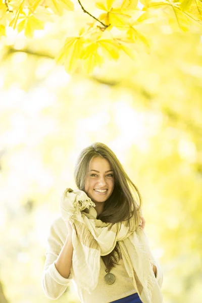 Junge Frau im Herbstwald — Stockfoto