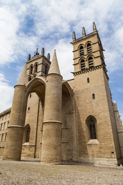 Montpellier-katedralen — Stockfoto