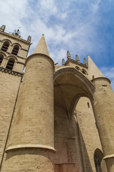 Montpellier-katedralen — Stockfoto