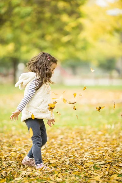 Girl in het najaar park — Stockfoto