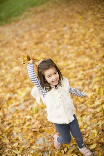 Girl at the autumn leaves — Stock Photo, Image