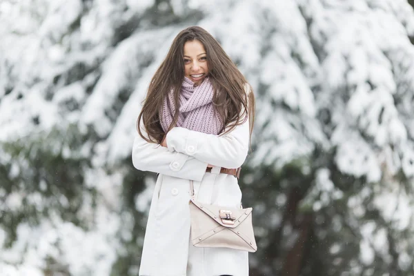 Jovem mulher no inverno — Fotografia de Stock