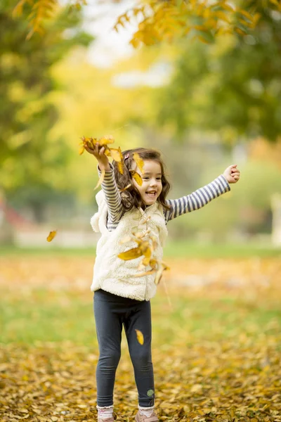 Girl in het najaar park — Stockfoto