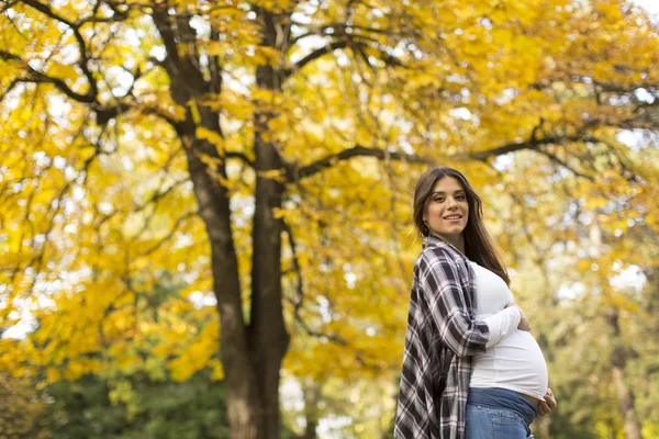 孕妇在公园 — 图库照片