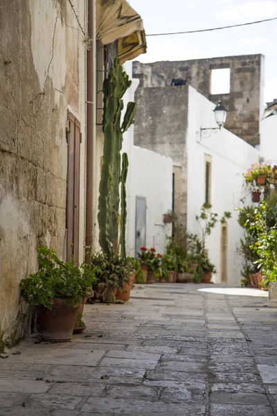 Calle tranquila con flores —  Fotos de Stock