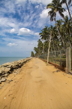 Negombo beach, sri lanka